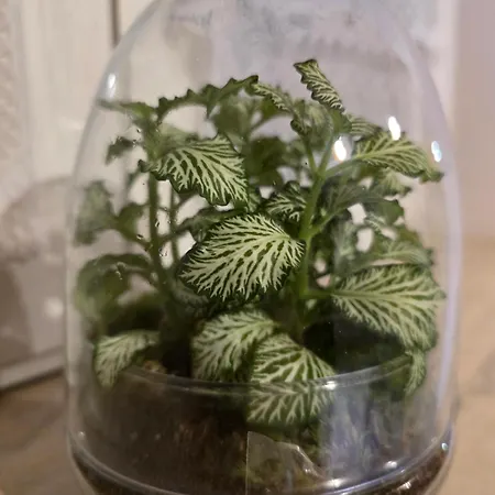 La Dimora Nelle Rue * Civitella Roveto