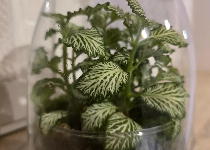 La Dimora Nelle Rue * Civitella Roveto